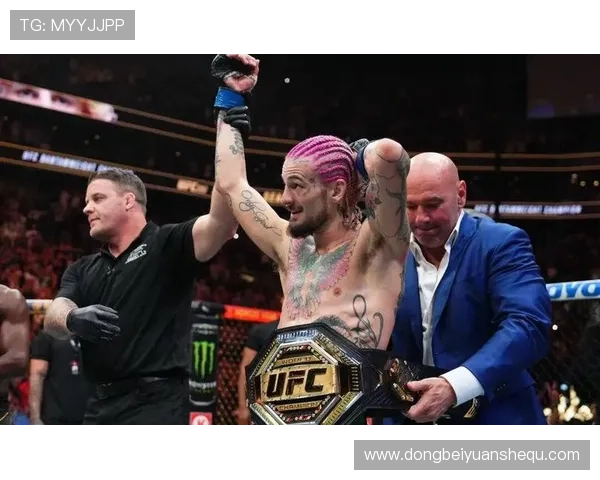 ufc欧冠联赛(ufc冠军联赛)sports ufc欧冠联赛(ufc冠军联赛)sports