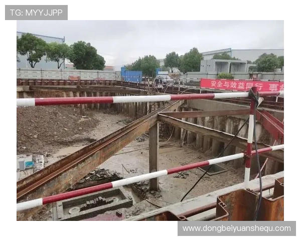 全国打桩机锦标赛冠军（打桩机销量排名）世界杯体育论坛