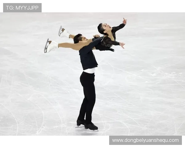 世界杯滑雪双板鞋图片（世界杯双人滑冠军）sports