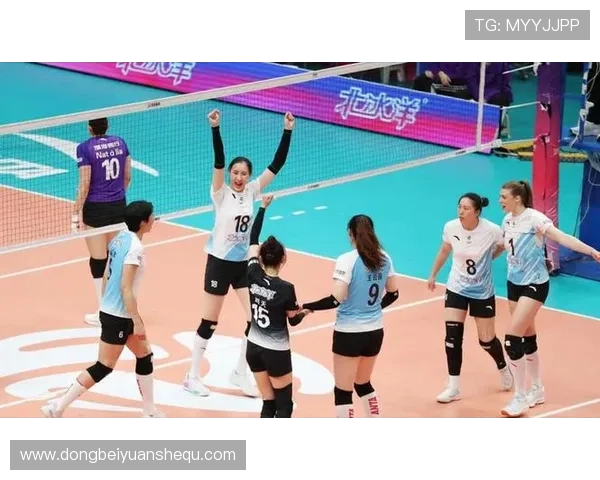 国家体育女排联赛（体育总局女排）sports